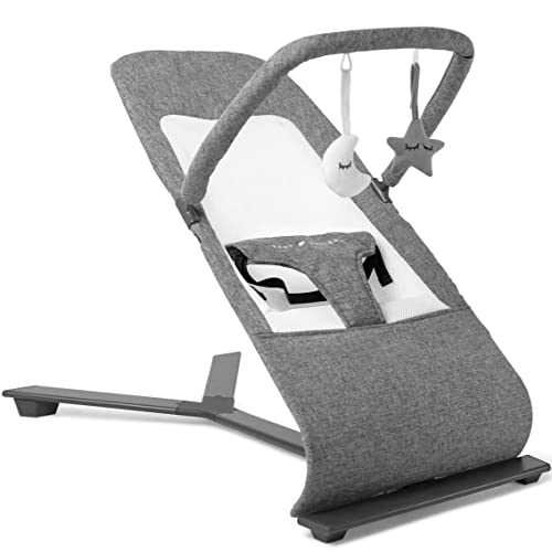 Baby Delight Alpine Deluxe Portable Bouncer Infant 0 6 months Charcoal Tweed 0 belly baby and beyond
