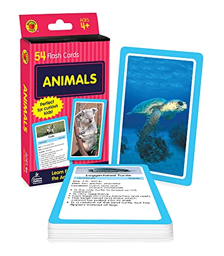 Carson Dellosa Animal Flash Cards Animal Flash Cards for Toddlers 2 4 Years Zoo Animals Sea Animals Insects Reptiles and Other Mammals Preschool and Kindergarten Flash Cards Cards May 16 2019 0 belly baby and beyond