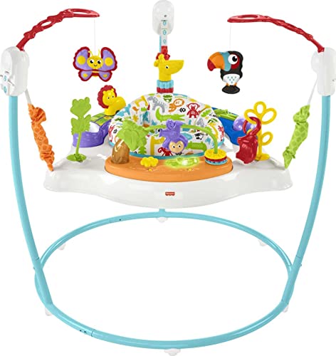 Fisher Price Baby Bouncer Animal Activity Jumperoo With Music Lights Sounds And Developmental Toys For Infants 0 belly baby and beyond