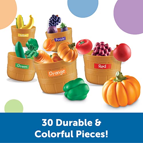 Learning Resources Farmers Market Color Sorting Set 30 Pieces Age 18 Months Toddler Learning Toys Sorting Toys for Kids Daycare ToysBack to School 0 0 belly baby and beyond
