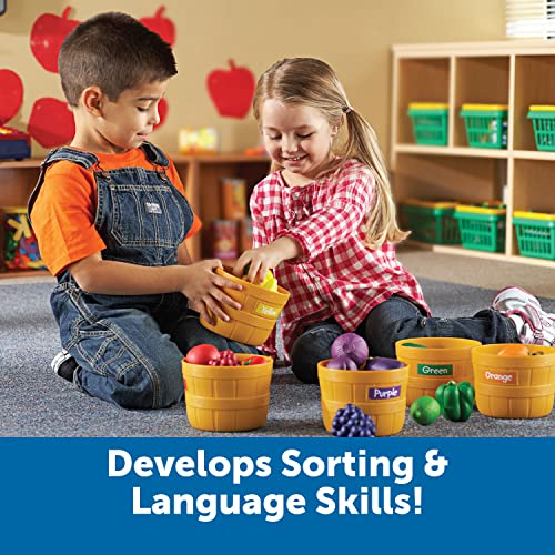 Learning Resources Farmers Market Color Sorting Set 30 Pieces Age 18 Months Toddler Learning Toys Sorting Toys for Kids Daycare ToysBack to School 0 2 belly baby and beyond