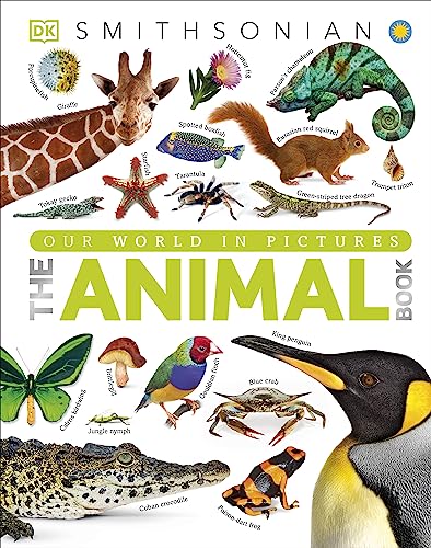 The Animal Book A Visual Encyclopedia of Life on Earth DK Our World in Pictures Hardcover Illustrated August 19 2013 0 belly baby and beyond