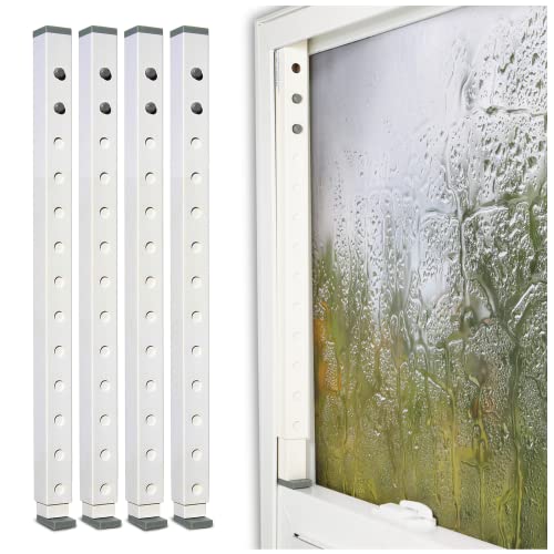 Window Safety