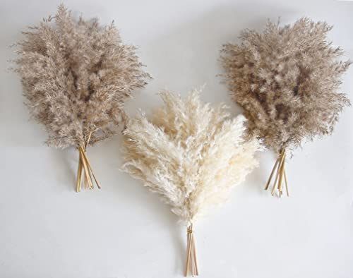 30 PCS Boho Decor Fluffy Pompas Grass Natural Dry Pampas Grass Small Short Pampass Bulk for Boho Room Decor Coffee Table Decor 17 inch 0 belly baby and beyond