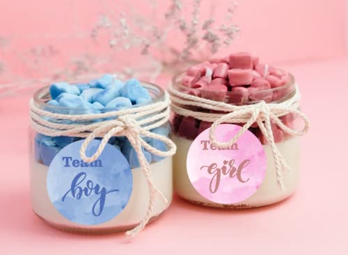 40 Team Girl Team Boy Gender Reveal Stickers 2 Inch Big Round Glossy Labels Pink and Blue Stickers Great for Gender Reveal Party Favors Tags Games and Supplies Made in USA 0 3 belly baby and beyond