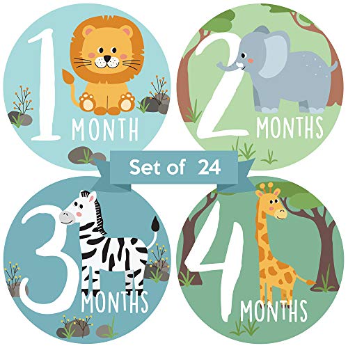 Baby Monthly Stickers Zoo Animals Baby Milestone Stickers Jungle Newborn Boy or Girl Stickers Month Stickers for Baby Boy Gender Neutral Unisex Safari Newborn Monthly Milestones Set of 24 0 belly baby and beyond