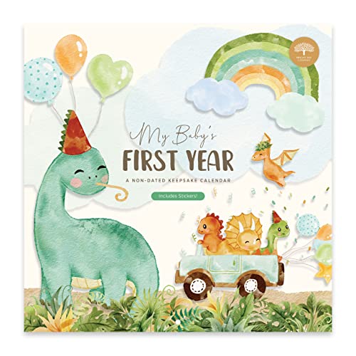 Babys First Year Calendar by Bright Day 1st Year Tracker Journal Album to Capture Precious Moments Milestone Keepsake for Baby Girl or Boy Dinosaur 0 belly baby and beyond