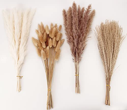 Dried Pampas Grass Decor 100 PCS Pampas Grass Contains Bunny Tails Dried Flowers Reed Grass Bouquet for Wedding Boho Flowers Home Table Decor Rustic Farmhouse Party White and Brown 0 belly baby and beyond