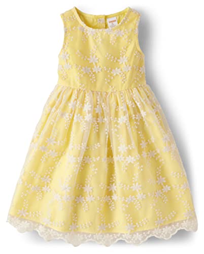 Gymboree girls And Toddler Dressy Dress 0 belly baby and beyond