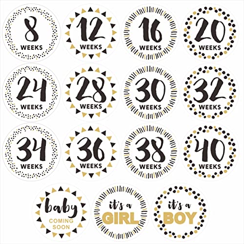 Hycodest Pregnancy Milestone Stickers Photo Record Baby Bump Dynamic Weekly Pregnancy Growth Sticker Set of 15 Stickers 0 belly baby and beyond