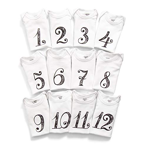 JumpOff Jo Baby Milestone Onesies 12 Bodysuit Set Seize The Moments 0 belly baby and beyond