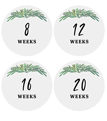 Modern Maxwell Baby Pregnancy Milestone Week Stickers 16 Pack 4 Inches Great Baby Gift Pregnancy Announcement 0 belly baby and beyond