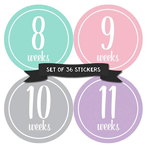 Months In Motion Pregnancy Weekly Belly Growth Stickers Pregnant Expecting Maternity Keepsake Baby Bump Large Set of 36 Weekly Photo Sticker 0 belly baby and beyond