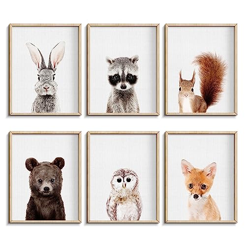 Nursery Baby Room Wall Art Decor Jungle Nursery Baby Animals Nursery Decorations Cute Nursery Safari Decor Baby Bedroom Decorate8x10 UNFRAMED Forest 0 belly baby and beyond