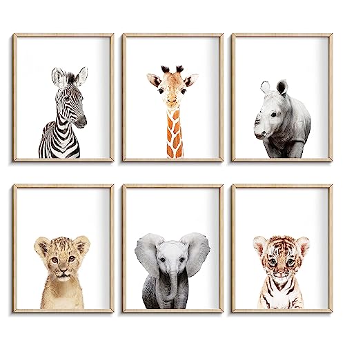 Nursery Baby Room Wall Art Decor Jungle Nursery Baby Animals Nursery Decorations Cute Nursery Safari Decor Baby Bedroom Decorate8x10 UNFRAMEDJungle 0 belly baby and beyond