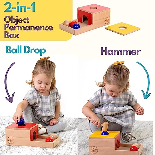 Pidoko Kids Montessori Toys for 1 Year Old Wooden Object Permanence Box Coin Drop Color and Shape Sorter Top Baby Toys 12 18 Months 1st Birthday Gifts Boy Girl Learning Toys for 1 Year Old 0 0 belly baby and beyond