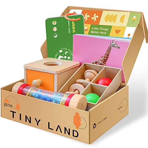 Tiny Land Montessori Toys for Babies 6 12 Months 4 in 1 Wooden Learning Educational Toy Set Includes Teething Toy Rainmaker Baby Toy Flash Card and Object Permanence Box Gift for 1 Year Old Infant 0 belly baby and beyond