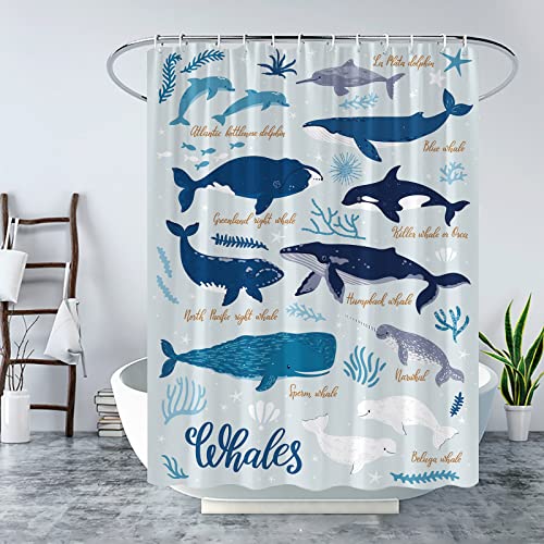 Whale Shower Curtain Kids Abstract Nautical Sea Animal Marine Shark Ocean Fish Dolphin Coral Pattern Education Knowledge Learn for Children Navy Blue Fabric Bathroom Curtain Set 70x70 Inch with Hooks 0 belly baby and beyond