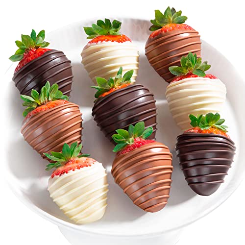 A Gift Inside 9 Berry Bites Chocolate Covered Strawberries by Love Berries Fun Size 0 belly baby and beyond