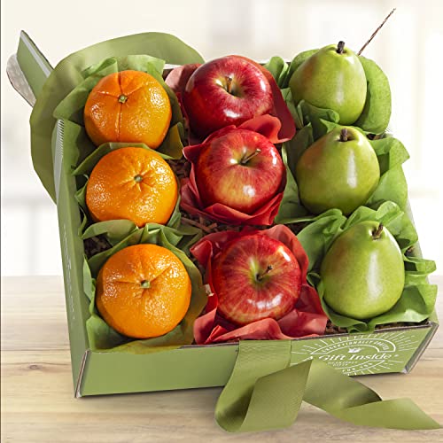 A Gift Inside Fruitful Trio Deluxe Fruit Gift 0 belly baby and beyond