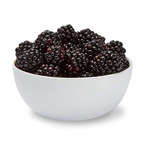 Blackberries 6 oz 0 belly baby and beyond