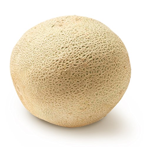Cantaloupe Melon 1 Each 0 belly baby and beyond