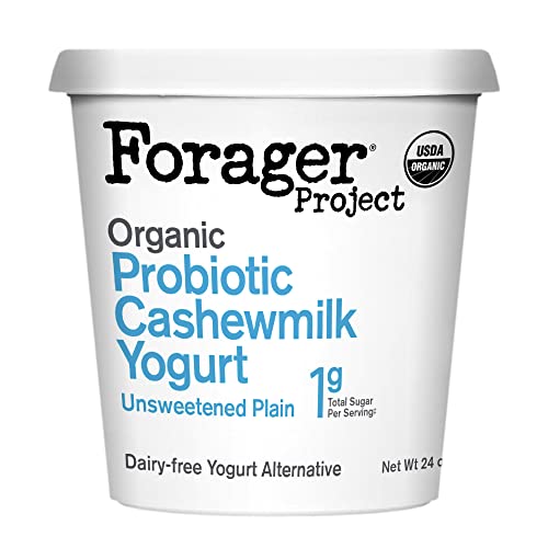 Forager Project Cashewmilk Yogurt Unsweetened Plain 24 Ounce 0 belly baby and beyond