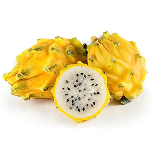 Fresh GPS Yellow Dragon Fruits 4 counts 0 belly baby and beyond