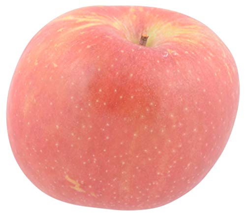Fuji Apple 1 Each 0 belly baby and beyond