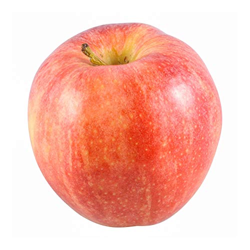 Gala Apple 1 Each 0 belly baby and beyond