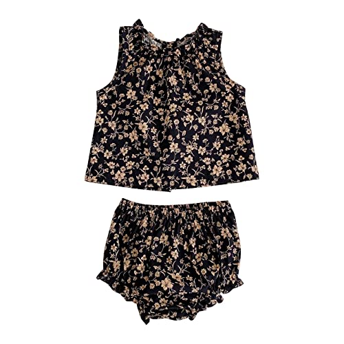 HOOLCHEAN Baby Infant Girls Summer Vintage Flower Ruffled 2PCS Set Sleeveless Top Dress Shirt and Bloomer Shorts 0 belly baby and beyond