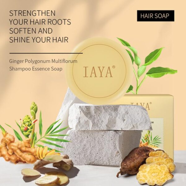IAYA Clean Hair Set Ginger Shampoo Soap Natural Organic Ginger Shampoo Bar PromotesPolygonum Polygonum 625 Pound Pack of 1 0 3 belly baby and beyond