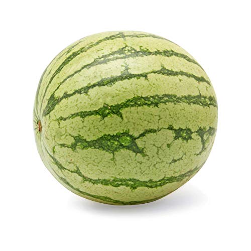 Mini Seedless Watermelon 1 Each 0 belly baby and beyond