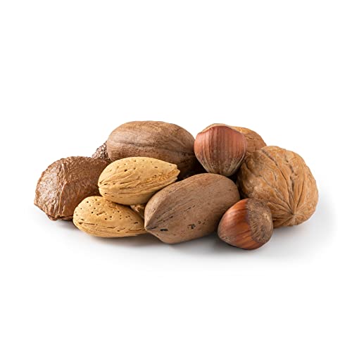 NUTS US Mixed Nuts In Shell Almonds Walnuts Hazelnuts Pecans Brazil Nuts No Added Colors and No Artificial Flavors Fresh Buttery Taste and Raw Packed In Resealable Bags 1 LB 0 belly baby and beyond