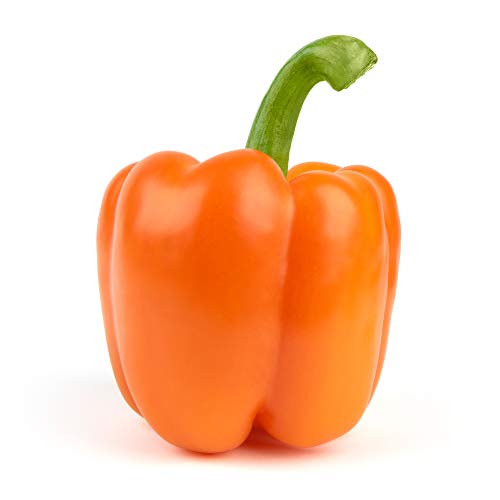 Orange Bell Pepper 0 belly baby and beyond