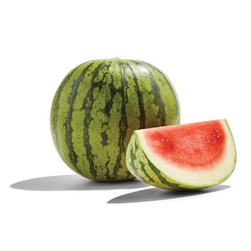 Organic Mini Watermelon 0 belly baby and beyond