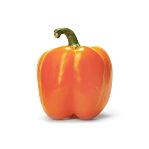 Organic Orange Bell Pepper 0 belly baby and beyond