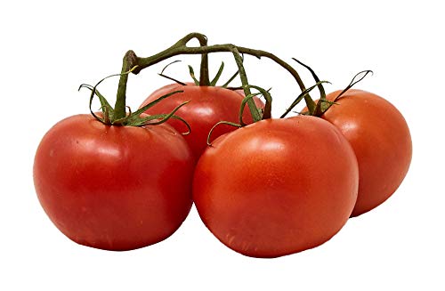 Organic Tomato 24 Oz 0 belly baby and beyond