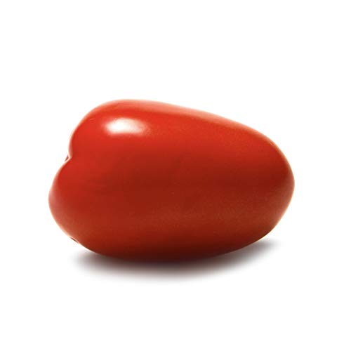 PRODUCE Roma Tomato 0 belly baby and beyond