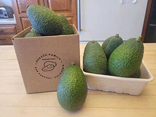 Pack Of 8 Hass California Avocado Guacamole Recipe Card Included Handpicked Fresh Produce Avocado Fruit Healthy Diet Option For All Diet and Weight Loss Plans Cholesterol Free Nutrient Booster 0 belly baby and beyond