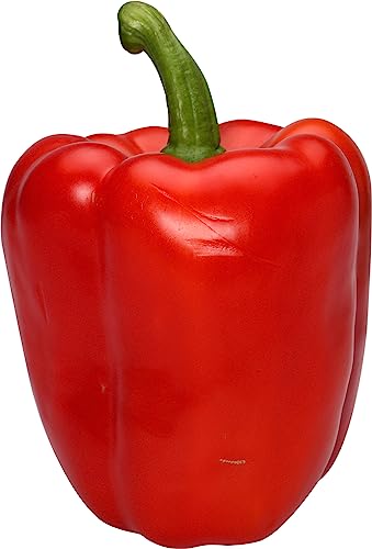 Red Bell Pepper 0 belly baby and beyond
