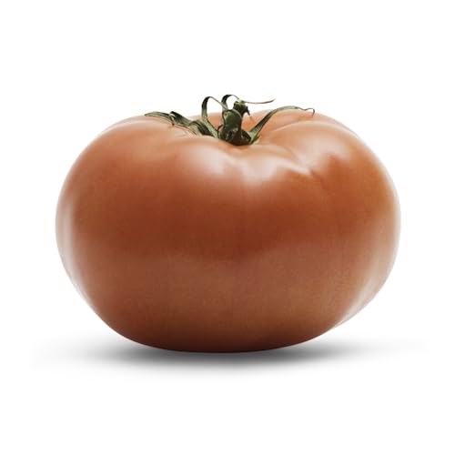 Slicer Tomato 0 belly baby and beyond