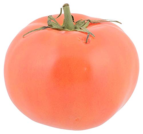Tomato 1 Each 0 belly baby and beyond