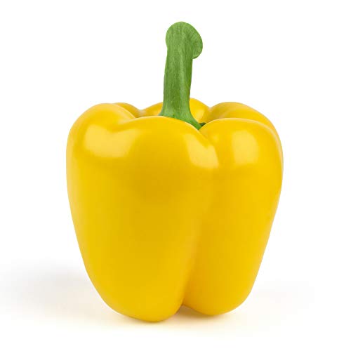 Yellow Bell Pepper 0 belly baby and beyond