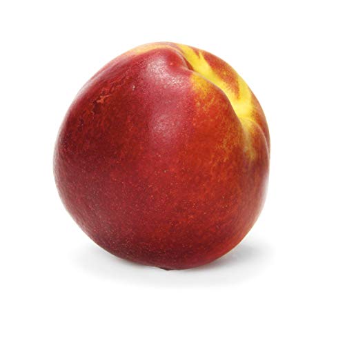 YellowNectarine 1 Each 0 belly baby and beyond