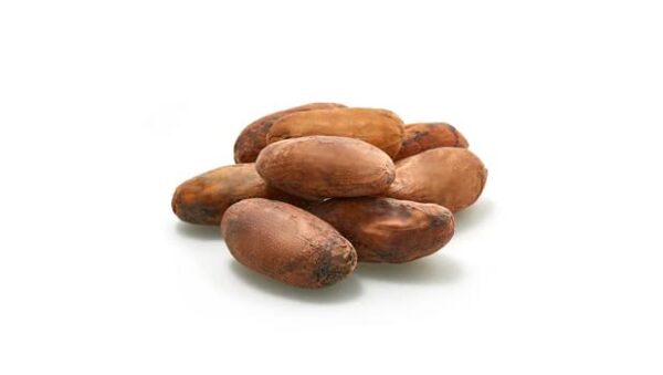 Yupik Organic Raw Cacao Beans 22 lb Vegan Gluten Free Kosher GMO Free Natural Dried Beans Unroasted Crunchy No Sugar Source of Fiber Perfect to Make Chocolate Ideal for Snacks Baking 0 1 belly baby and beyond
