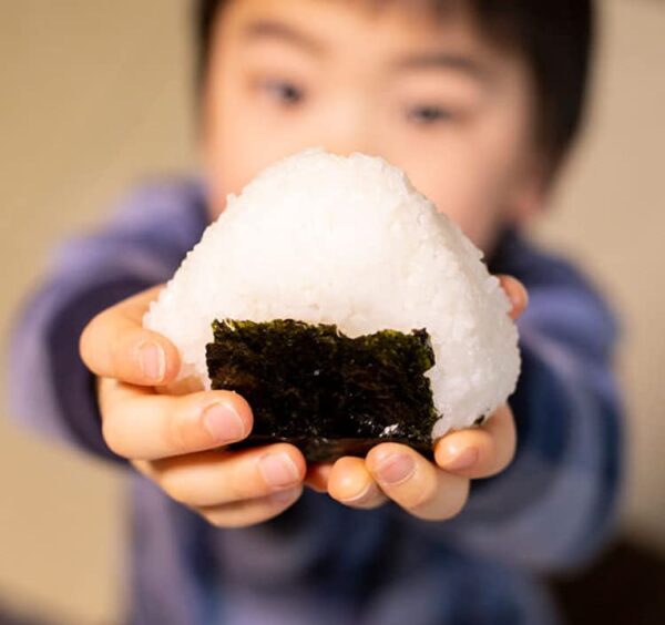 100 Grown in Japan Niigata Prefecture Premium Koshihikari Sushi Rice Milled White Short Grain 11 Pound 5 KG 0 4 belly baby and beyond