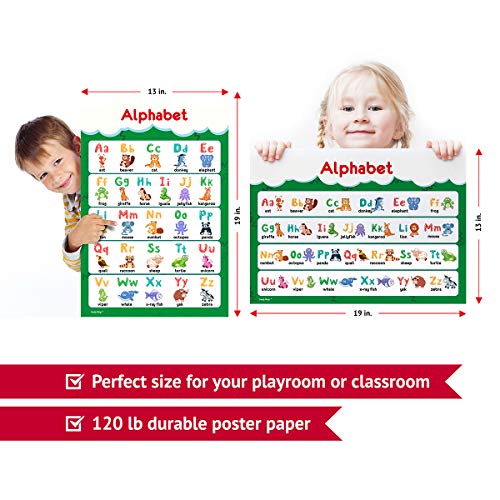 11 Educational Posters for Toddlers and Kids Perfect for Children Preschool Kindergarten Classroom Decorations Alphabet ABC Poster Numbers Weather Chart Shapes Colors 19x13 0 2 belly baby and beyond