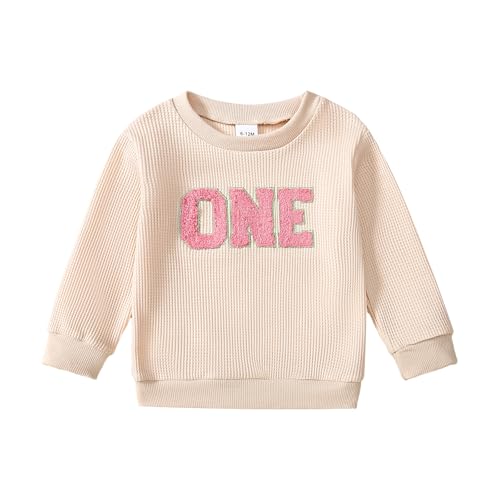 Baby Girl First Birthday Outfit 1st Birthday Sweatshirt One Long Sleeve Pullover Top 0 belly baby and beyond