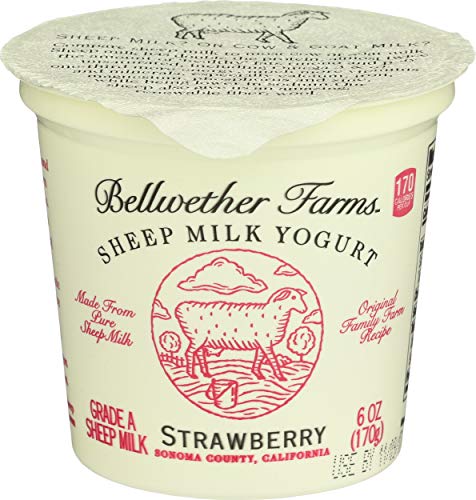 Bellwether Farms Strawberry Sheep Milk Yogurt 6 Oz 0 belly baby and beyond
